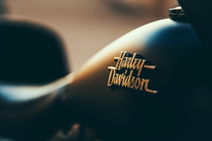 Harley Davidson Brand Family